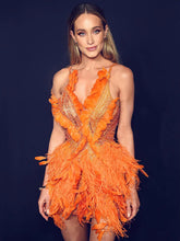 Load image into Gallery viewer, BETTIE BARNARD Feather Embellished Dress