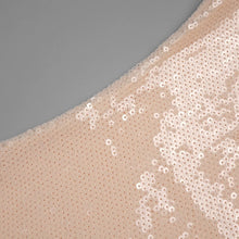 Load image into Gallery viewer, DINEO SESHEE Sequin Angkle Dress