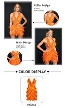 Load image into Gallery viewer, BETTIE BARNARD Feather Embellished Dress