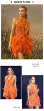 Load image into Gallery viewer, BETTIE BARNARD Feather Embellished Dress