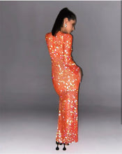 Load image into Gallery viewer, CATTLEGRET Mesh Crystal Dress