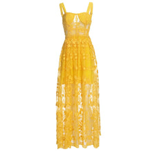Load image into Gallery viewer, VIGUIERA Mesh Long Dress