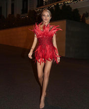 Load image into Gallery viewer, BAOBAB Feather Sequin Dress
