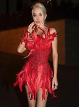Load image into Gallery viewer, BAOBAB Feather Sequin Dress