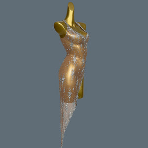BESAN Mesh Crystal Dress
