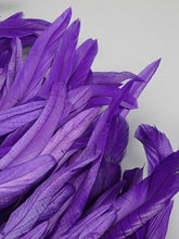 Load image into Gallery viewer, EMU Feather Mini Backless
