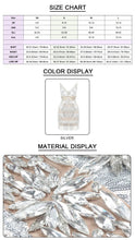 Load image into Gallery viewer, ASIAN Tassel Crystal Mini
