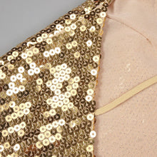 Load image into Gallery viewer, BETH DIANE Sequin Mini
