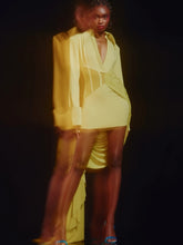 Load image into Gallery viewer, CASSOWARY Mini Dress

