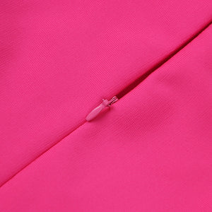 ALBIZIA Bandage Turtleneck Mini