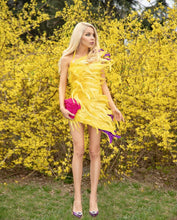 Load image into Gallery viewer, THERMOPSIS Mini Dress
