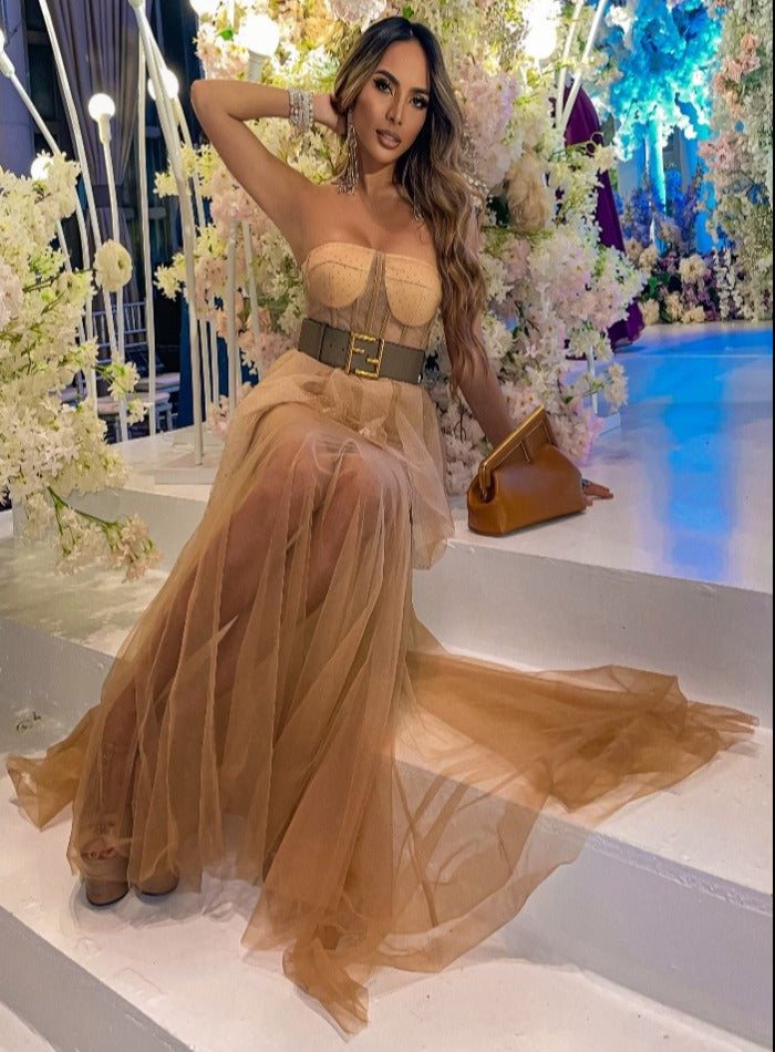 WELLA Mesh Evening Gown