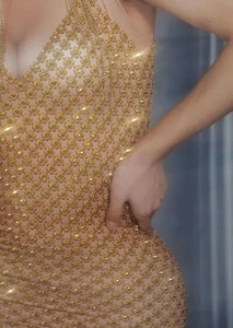 AMY SMART mesh glitter maxi