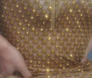 AMY SMART mesh glitter maxi