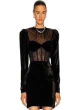 Load image into Gallery viewer, NEMATANTHUS Mesh Velvet Mini
