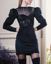 Load image into Gallery viewer, NEMATANTHUS Mesh Velvet Mini

