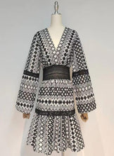 Load image into Gallery viewer, PHYGELIUS Embroidered Mini Dress
