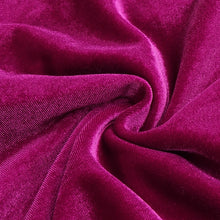 Load image into Gallery viewer, PHALARIS Feather Velvet Gown
