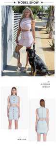 PLANTAGO Blue Set