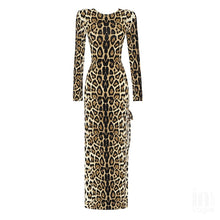 Load image into Gallery viewer, QUISQUALIS Long Dress
