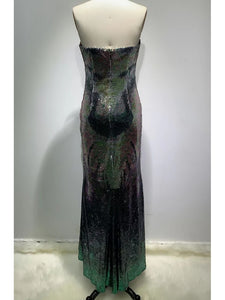 TRICYRTIS Sequin Long Dress